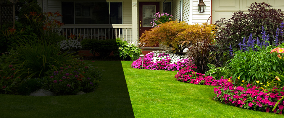 Farmersville Landscapers